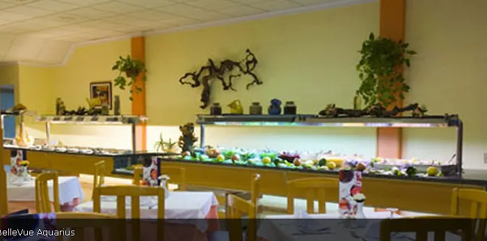 Apartament Bellevue Aquarius *